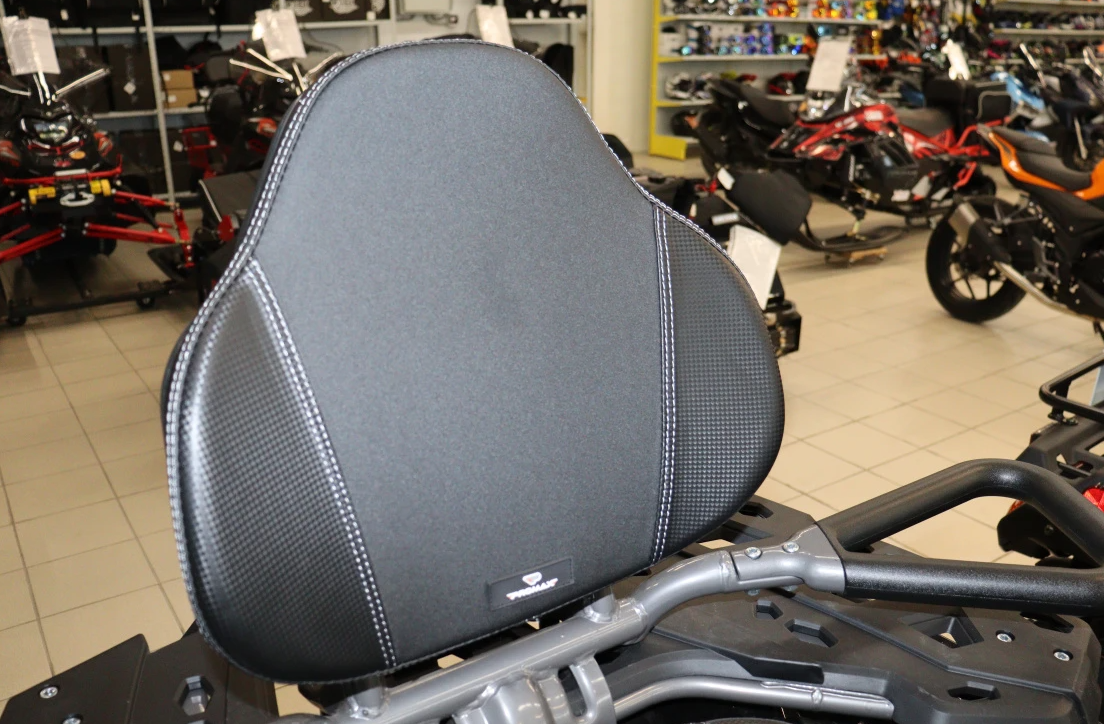 Квадроцикл PROMAX RENEGADE 300 LONG WINCH PRO (2025) в Раменском