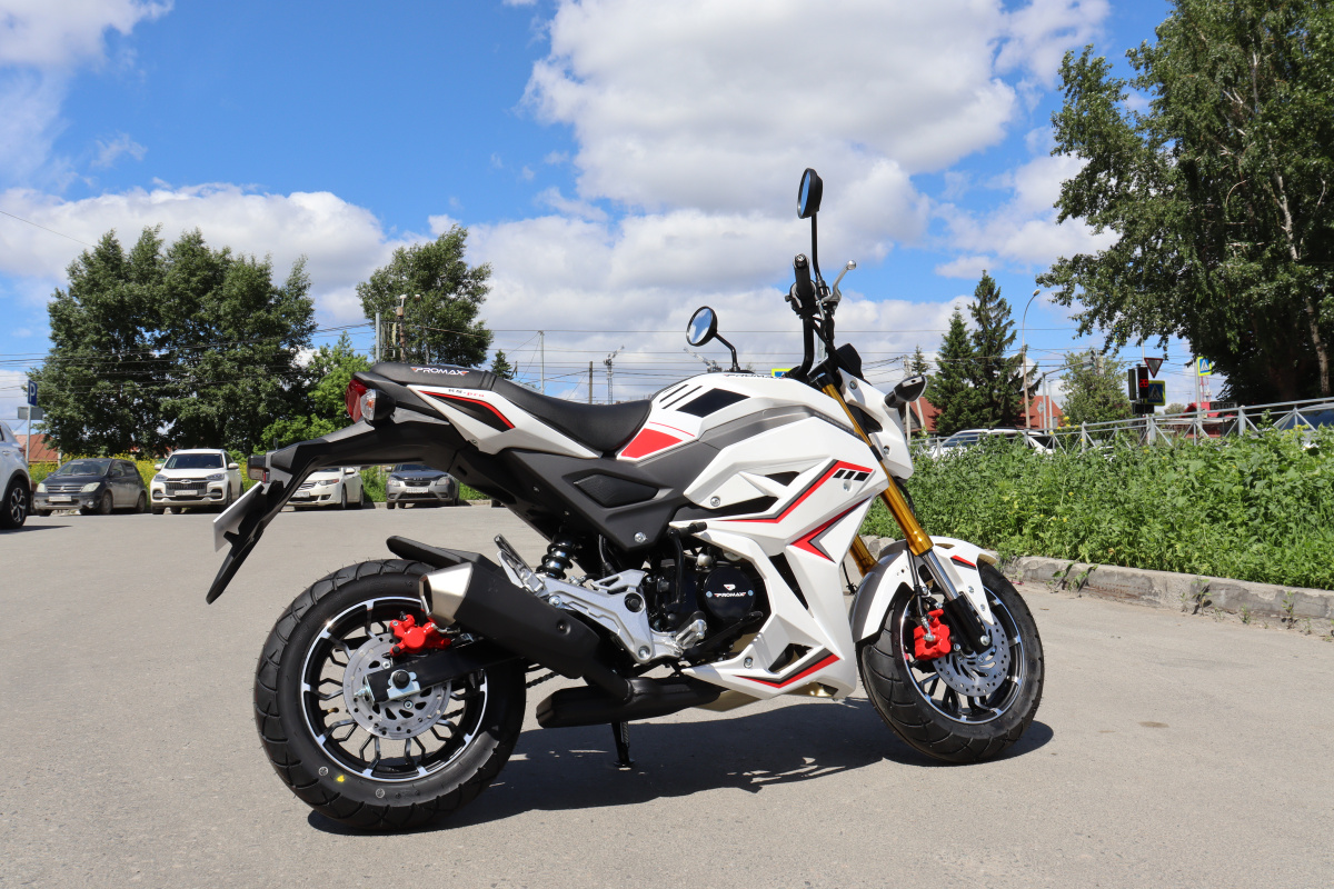 Мотоцикл PROMAX STRYKER 200(49) 2.0 в Раменском