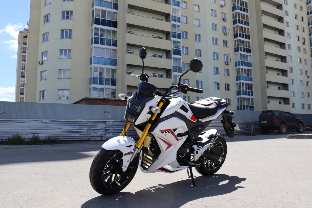 Мотоцикл PROMAX STRYKER 200(49) 2.0 в Раменском