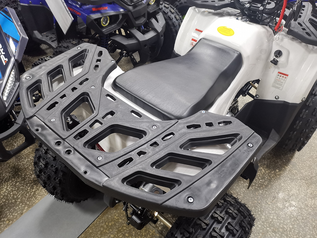 Квадроцикл PROMAX WILD 175 LUX в Раменском