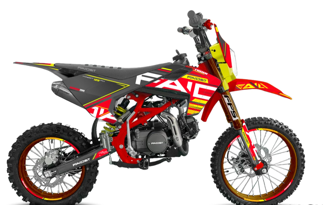 Питбайк FAIDET KAYOT 150E-PRO 19/16 в Раменском