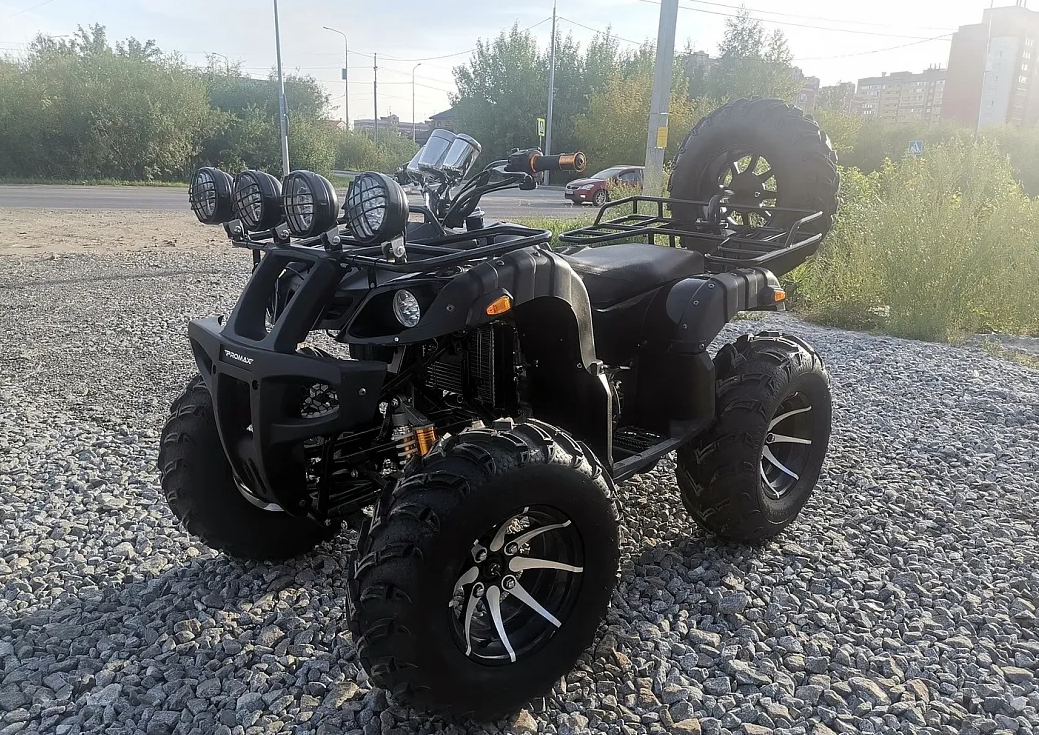 Квадроцикл PROMAX LEO 300 Max (кардан) в Раменском