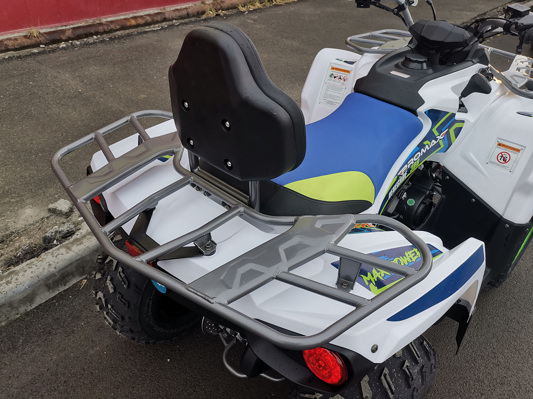 Квадроцикл PROMAX RENEGADE 280 LUX (2025) в Раменском