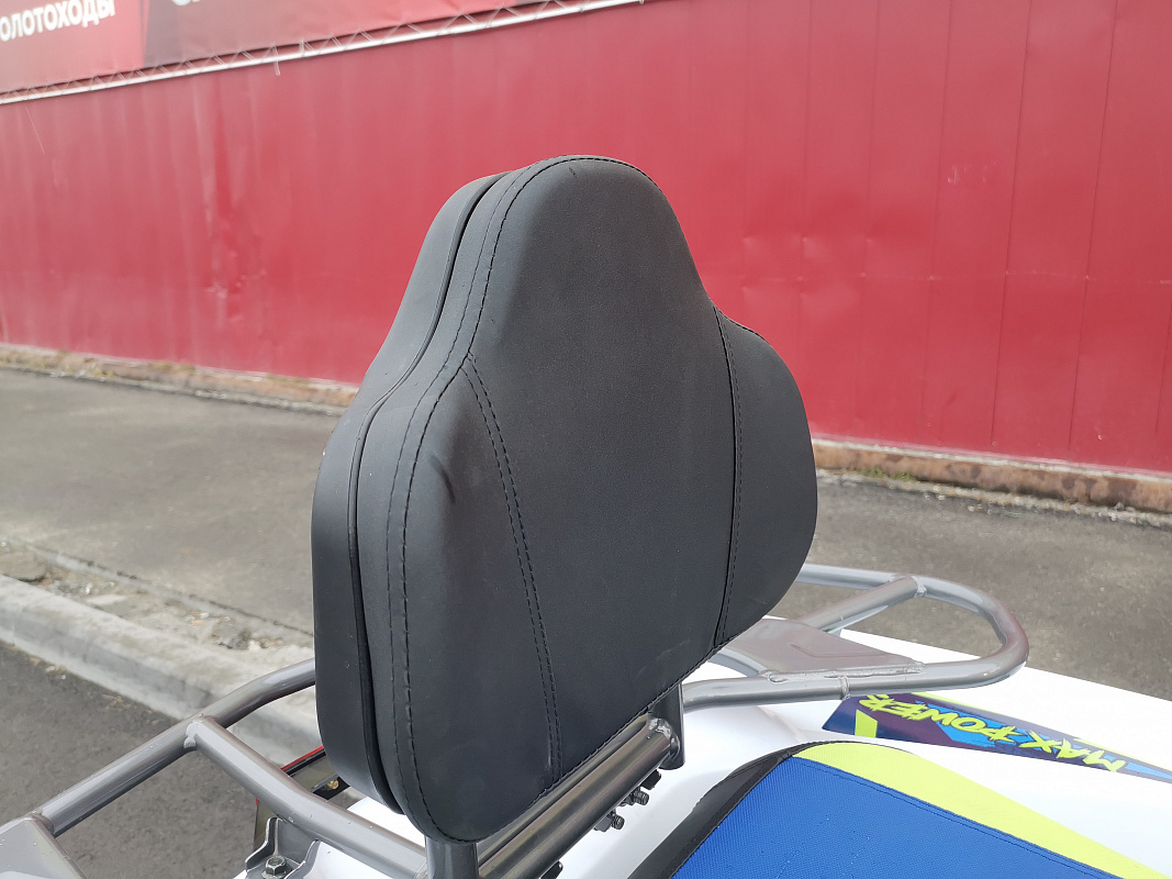 Квадроцикл PROMAX RENEGADE 280 LUX (2025) в Раменском