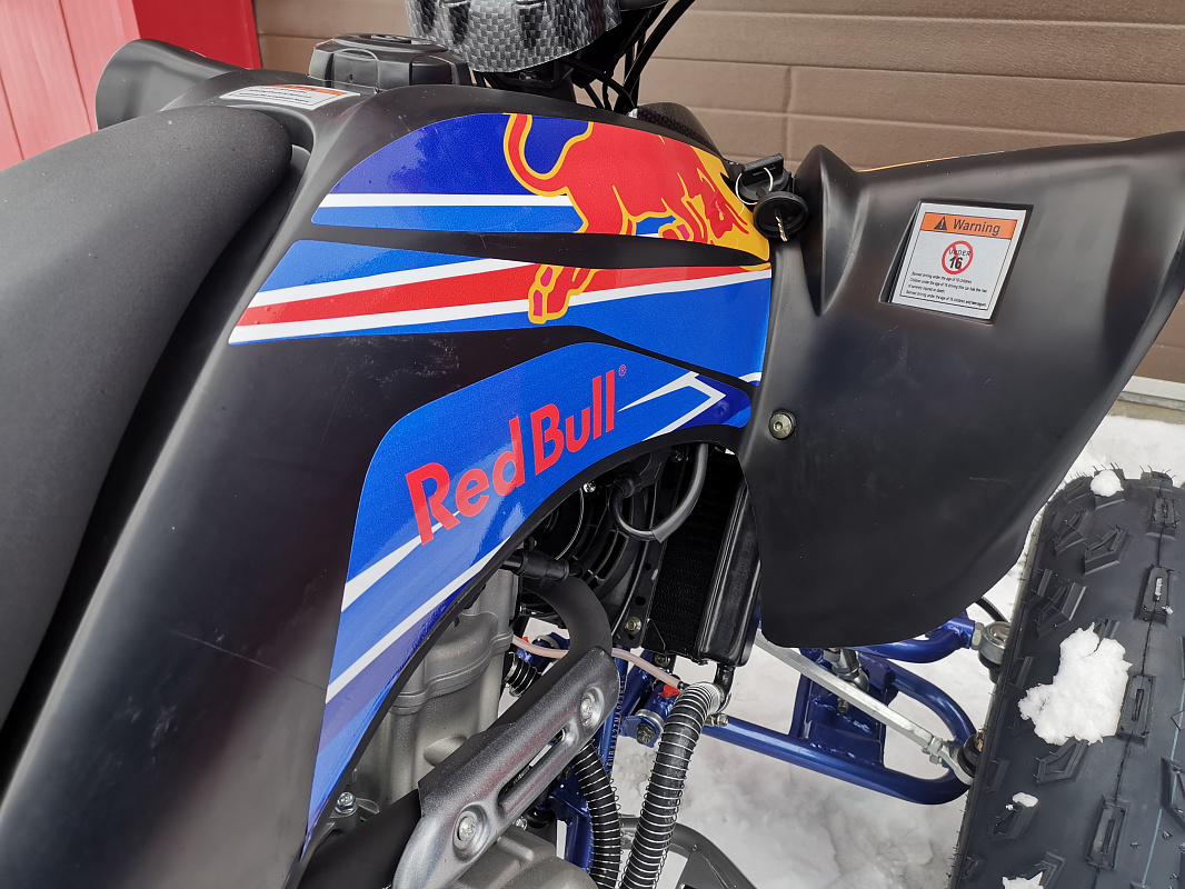 Квадроцикл PROMAX RAPTOR 300 NEW RedBull в Раменском