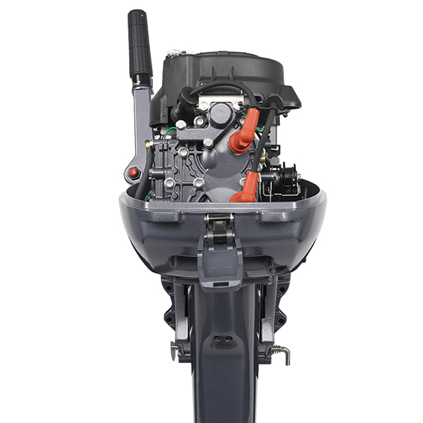 ЛОДОЧНЫЙ МОТОР ALLFA CG Т9,9 Limit в Раменском