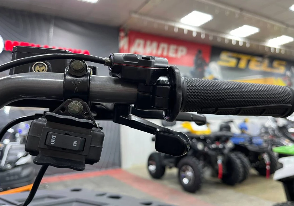 Квадроцикл PROMAX RENEGADE 300 LONG WINCH PRO (2025) в Раменском