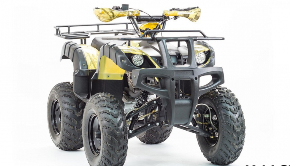 Квадроцикл MOTOLAND (МОТОЛЕНД) 250 ADVENTURE в Раменском