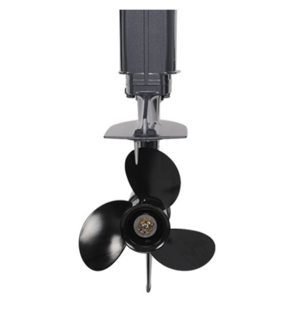 Лодочный мотор ALLFA CG Т40FW S в Раменском