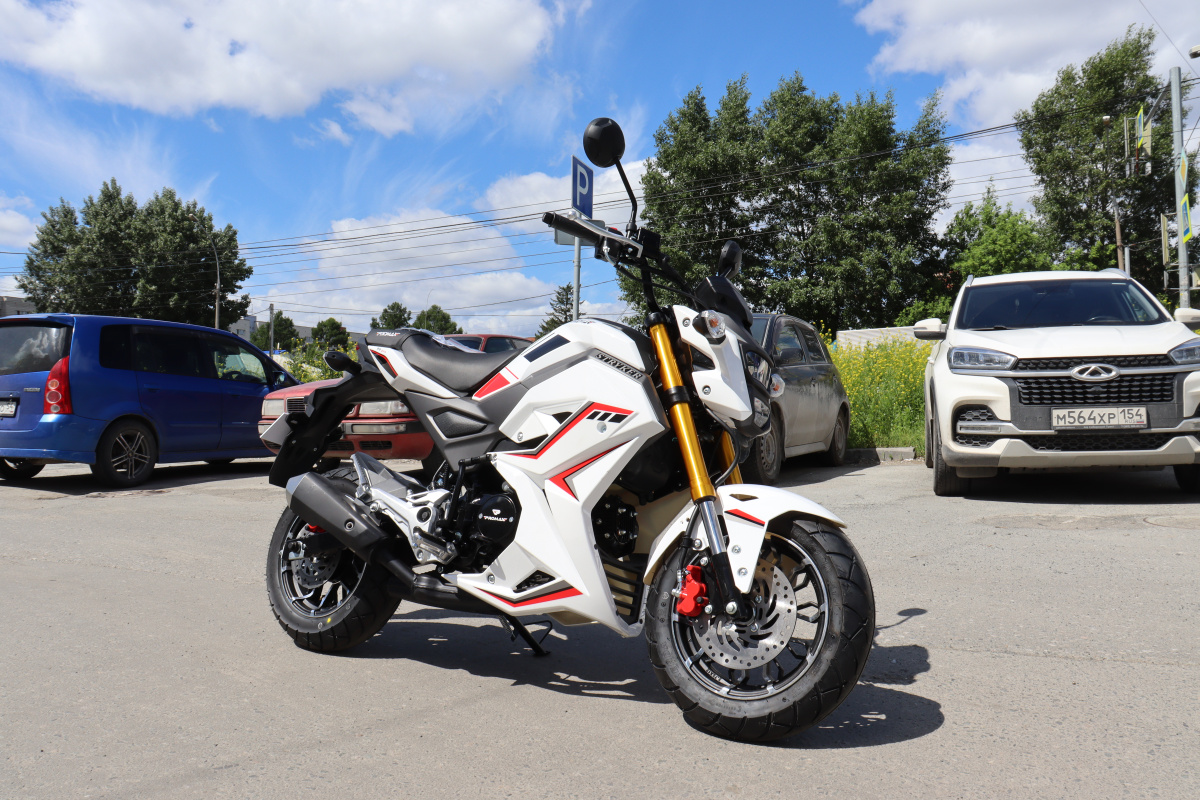 Мотоцикл PROMAX STRYKER 200(49) 2.0 в Раменском