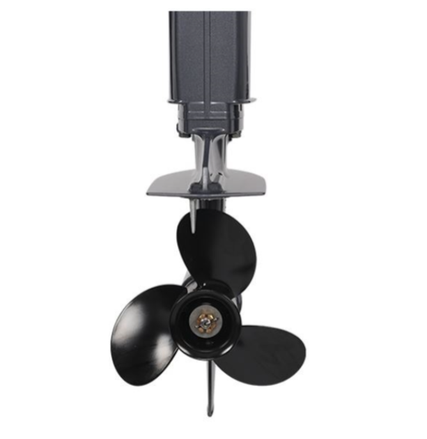 Лодочный мотор ALLFA CG Т40FWT S в Раменском