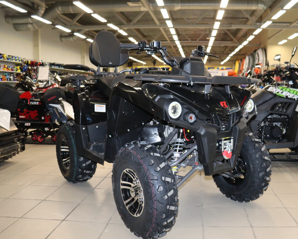 Квадроцикл PROMAX RENEGADE 300 LONG WINCH PRO (2025) в Раменском
