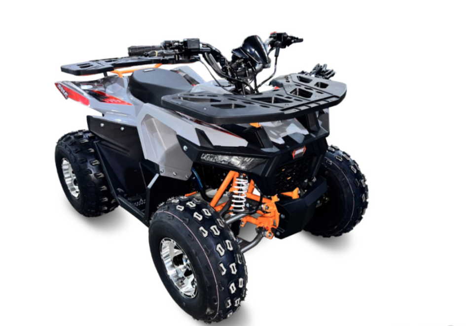 Квадроцикл GBM DAXTER 220 NEW PREMIUM в Раменском