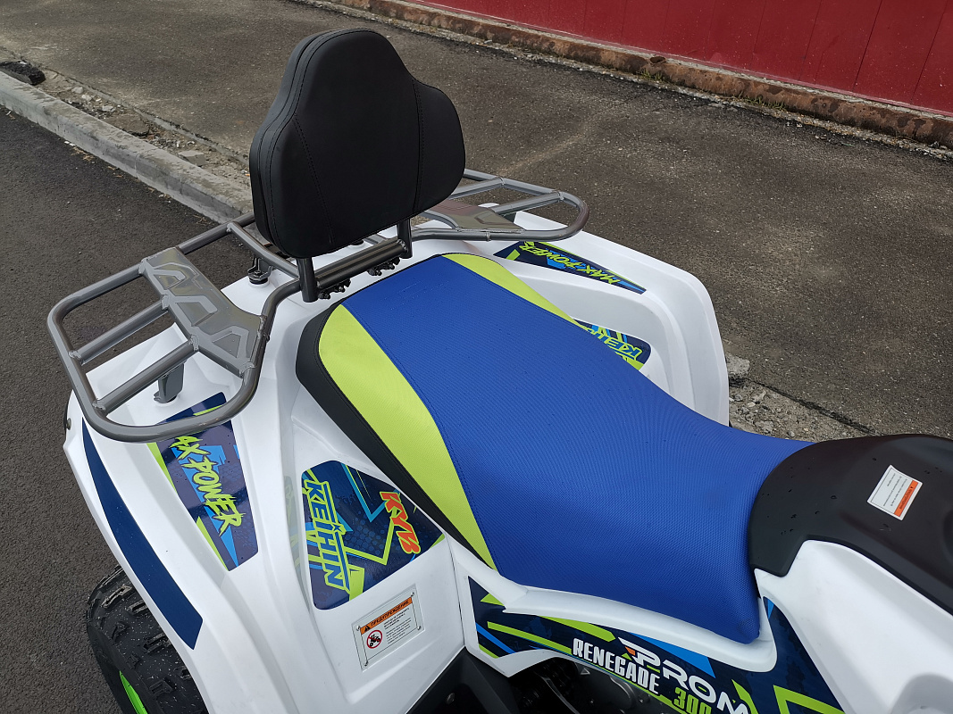 Квадроцикл PROMAX RENEGADE 280 LUX (2025) в Раменском