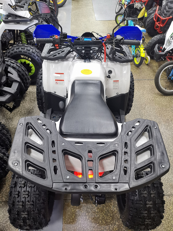 Квадроцикл PROMAX WILD 175 LUX в Раменском