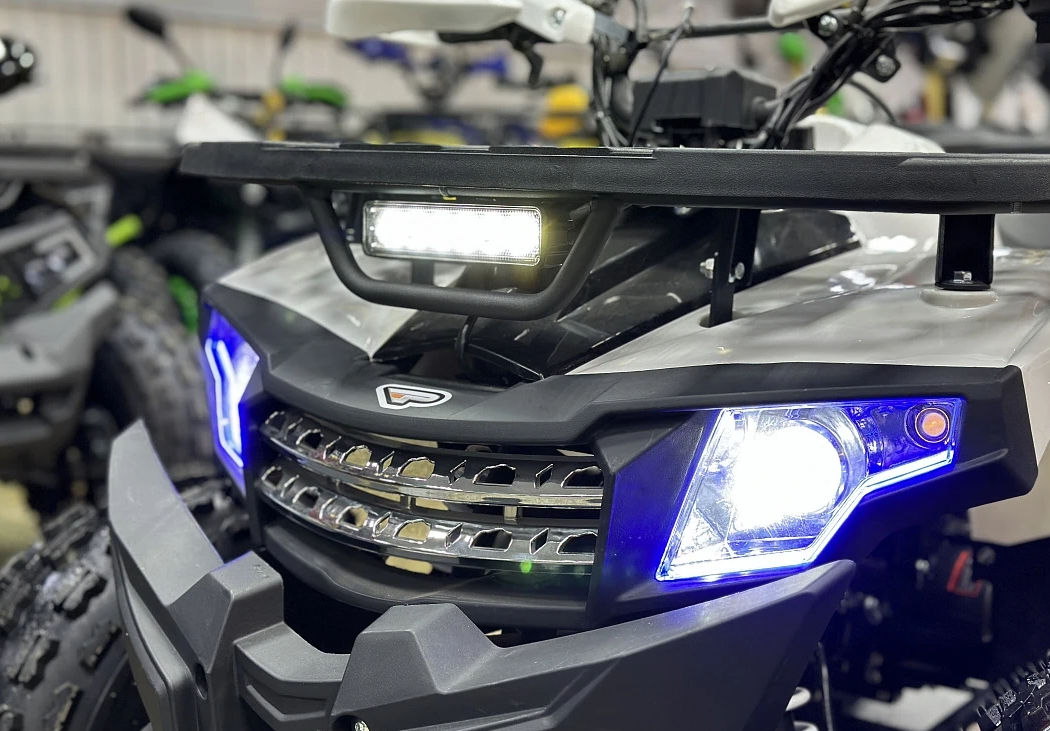 Квадроцикл PROMAX WILD 2.0 190 в Раменском