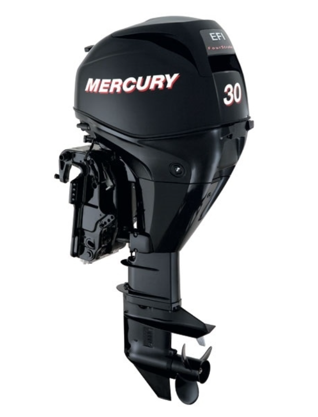 ЛОДОЧНЫЙ МОТОР MERCURY  F 30 ELH GA EFI в Раменском