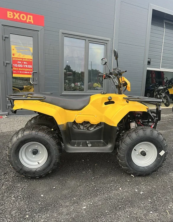 КВАДРОЦИКЛ IRBIS ATV 250  в Раменском