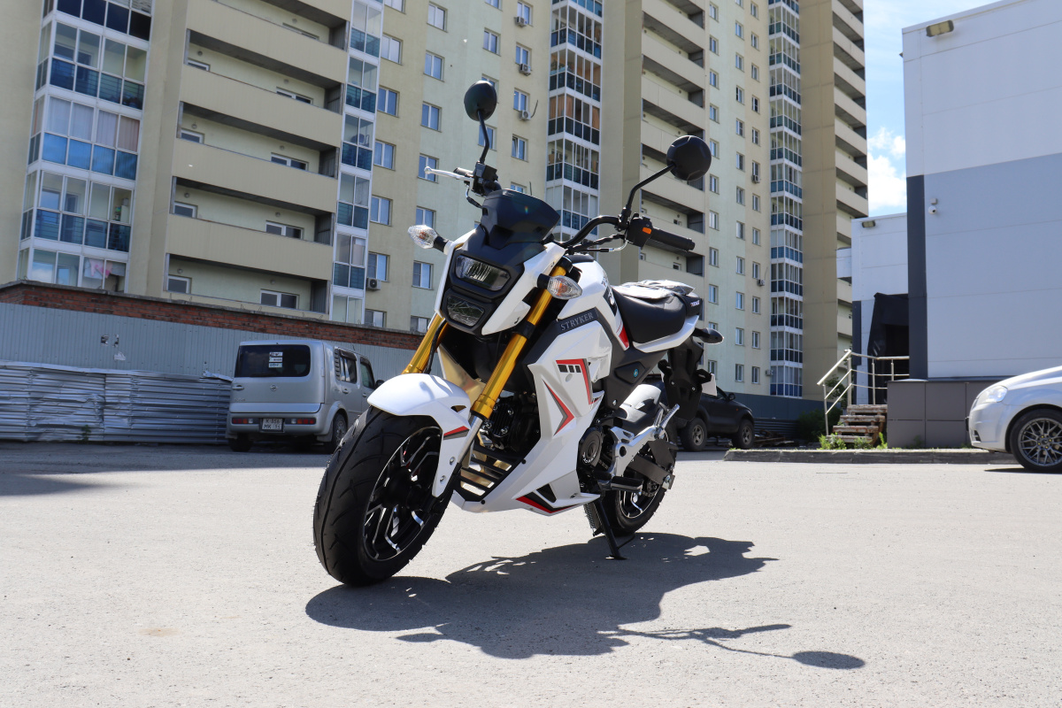 Мотоцикл PROMAX STRYKER 200(49) 2.0 в Раменском