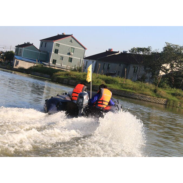 ЛОДОЧНЫЙ МОТОР ALLFA CG Т20 в Раменском