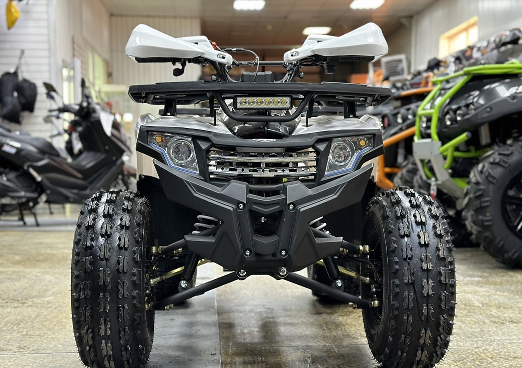 Квадроцикл PROMAX WILD 2.0 190 в Раменском