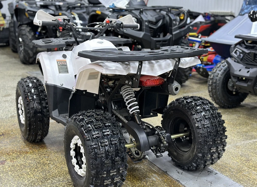 Квадроцикл PROMAX WILD 2.0 190 в Раменском