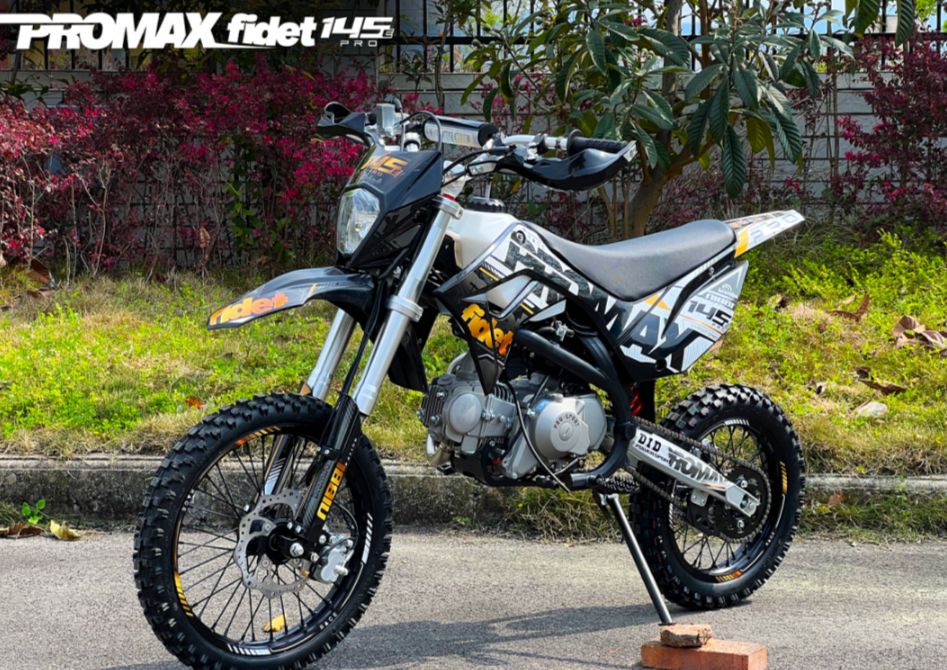 Мотоцикл (питбайк) PROMAX FIDET (ФАЙДЕТ) 145E PRO 17/14 в Раменском
