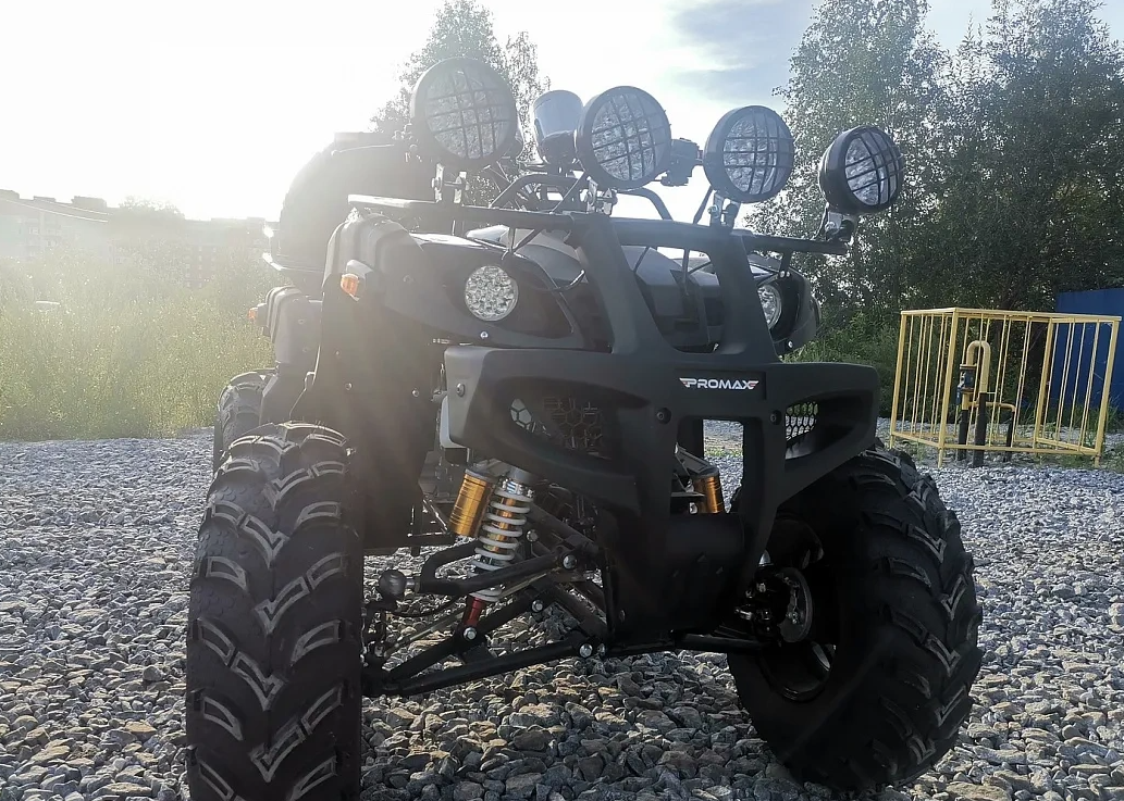 Квадроцикл PROMAX LEO 300 Max (кардан) в Раменском