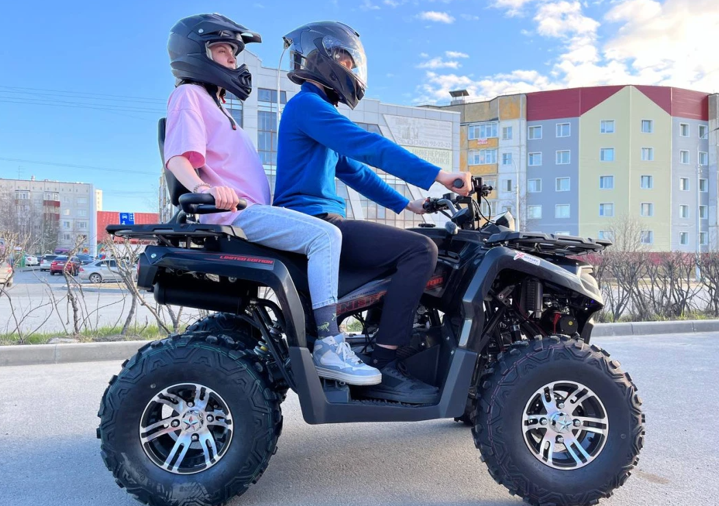 Квадроцикл PROMAX RENEGADE 300 LONG WINCH PRO (2025) в Раменском