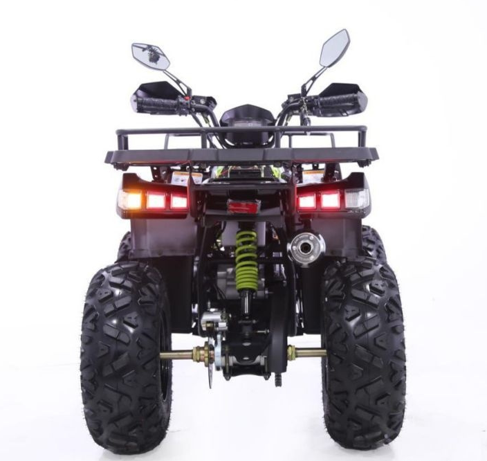 Квадроцикл YACOTA WARRIOR 200 PRO в Раменском