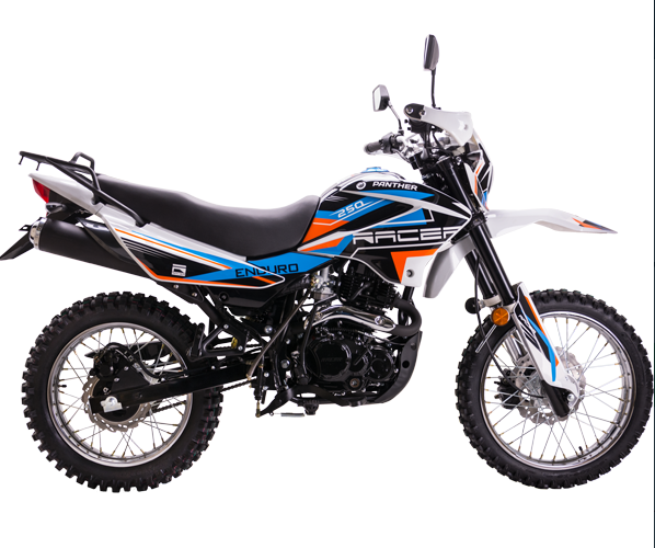 Мотоцикл Racer RC250GY-C2 Panther в Раменском