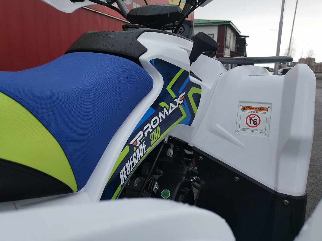 Квадроцикл PROMAX RENEGADE 280 LUX (2025) в Раменском