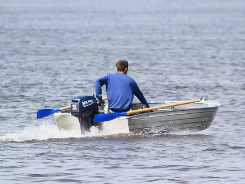 Алюминиевая Wyatboat-320 в Раменском