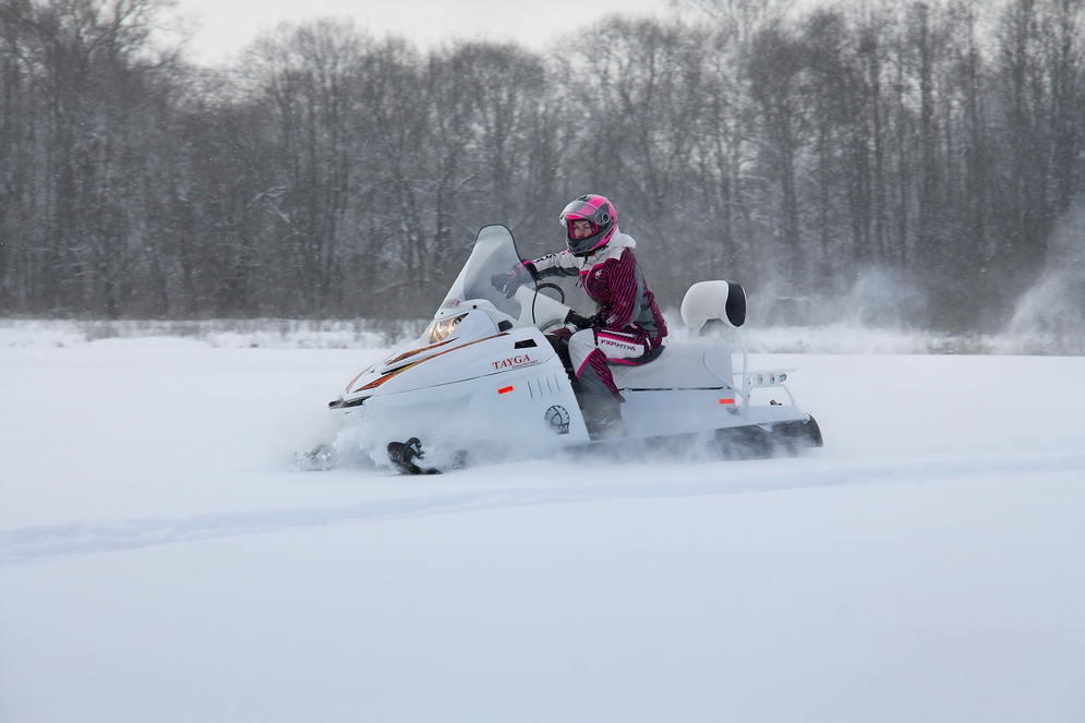 СНЕГОХОД РМ ТАЙГА ПАТРУЛЬ 551 SWT в Раменском