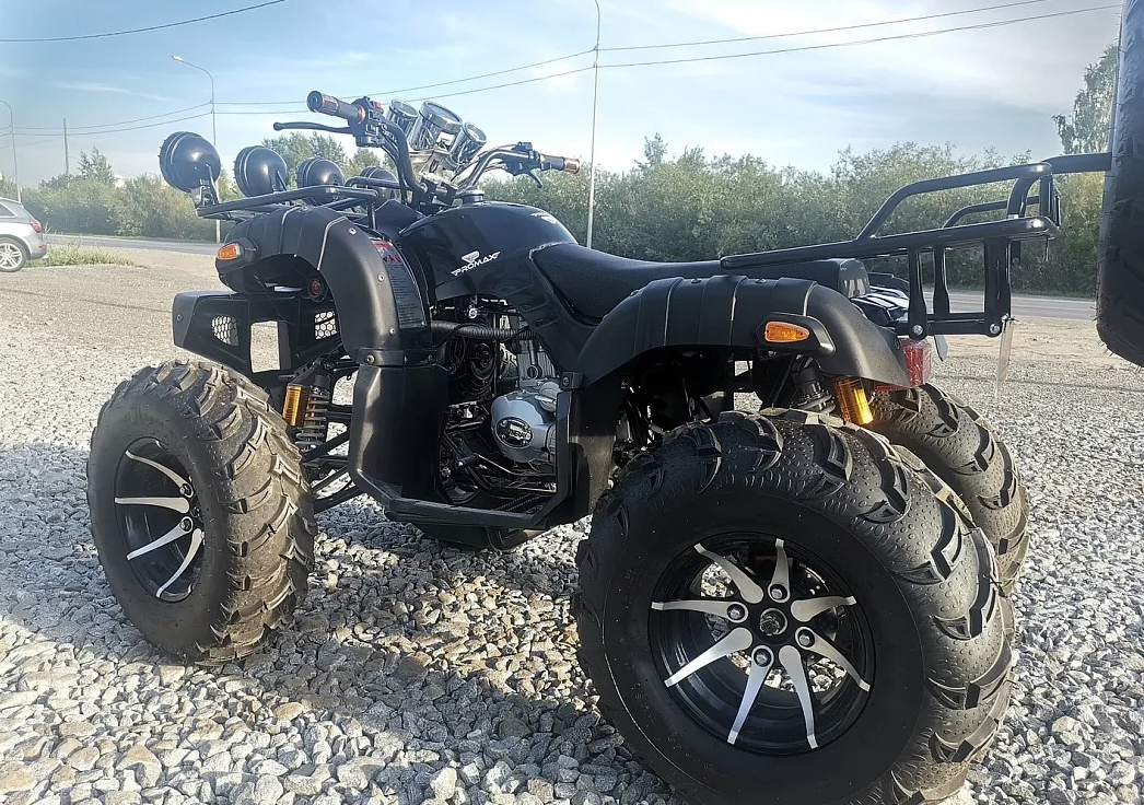 Квадроцикл PROMAX LEO 300 Max (кардан) в Раменском