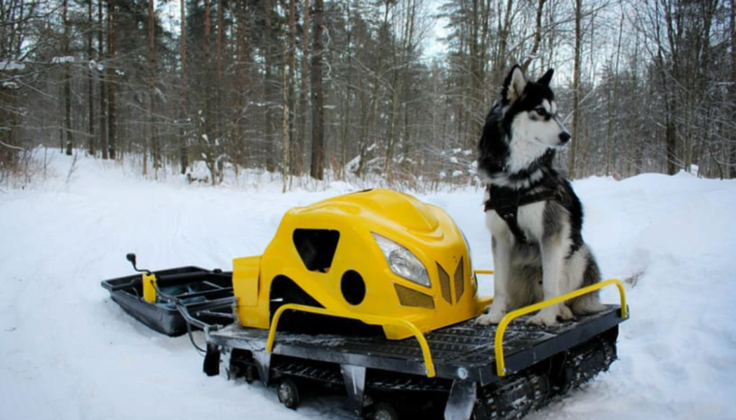 Мотобуксировщик LEBEDEV MOTORS ВОЛКОДАВ POWER V13 в Раменском