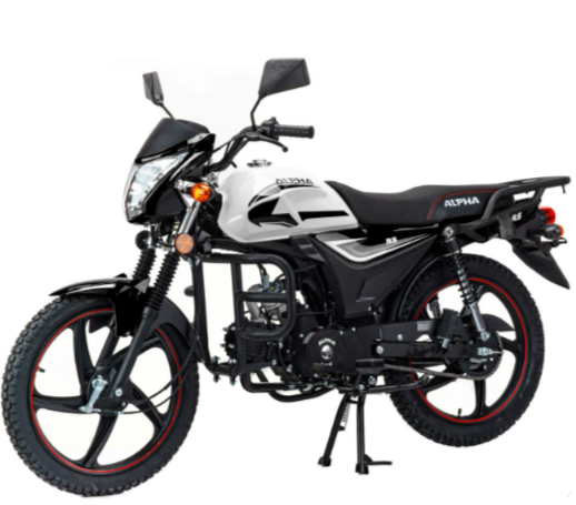 Мопед MOTOLAND (МОТОЛЕНД) Альфа RS 11 (LM48-B) в Раменском