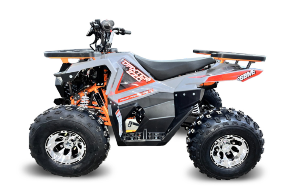 Квадроцикл GBM DAXTER 220 NEW PREMIUM в Раменском