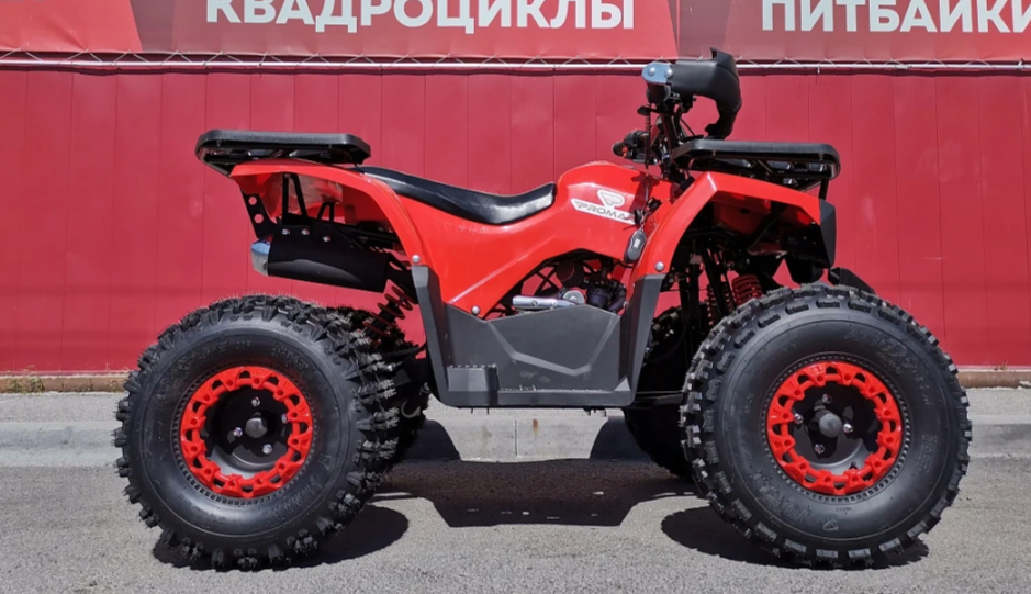 Квадроцикл PROMAX WILD 175 BASIC в Раменском
