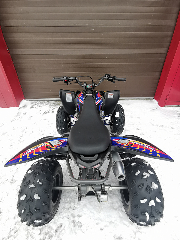 Квадроцикл PROMAX RAPTOR 300 NEW RedBull в Раменском