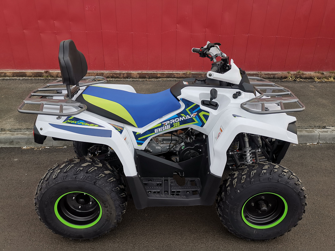 Квадроцикл PROMAX RENEGADE 280 LUX (2025) в Раменском