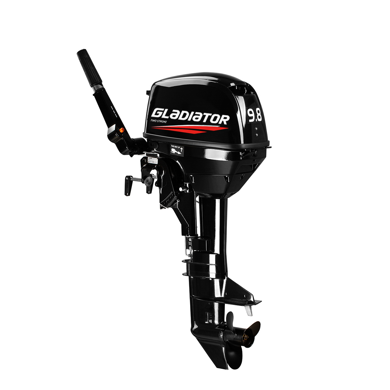 ЛОДОЧНЫЙ МОТОР GLADIATOR G9.8FHS в Раменском