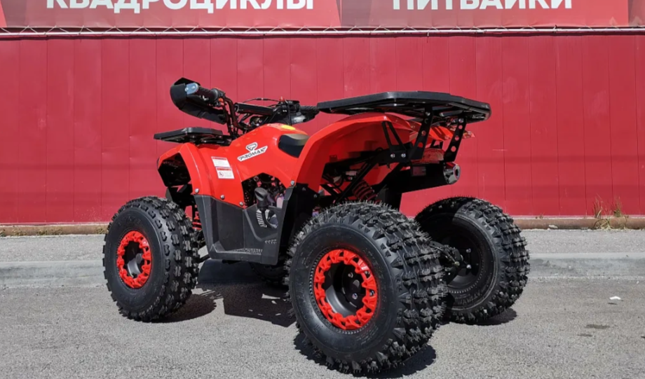 Квадроцикл PROMAX WILD 175 BASIC в Раменском