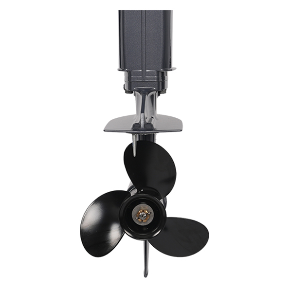 ЛОДОЧНЫЙ МОТОР ALLFA CG T30 FW S в Раменском