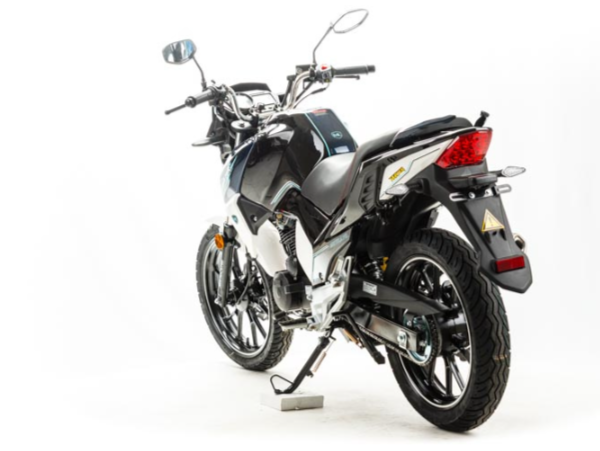 Мотоцикл MOTOLAND (МОТОЛЕНД) FIGHTER 250 в Раменском