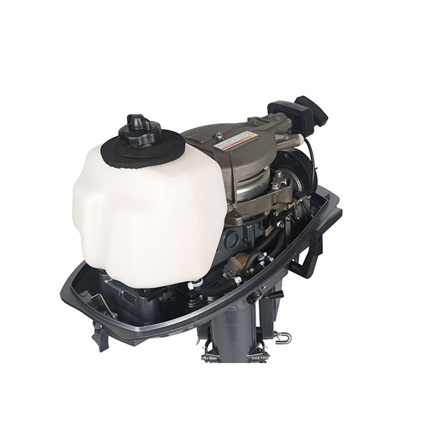 ЛОДОЧНЫЙ МОТОР ALLFA CG T5 в Раменском