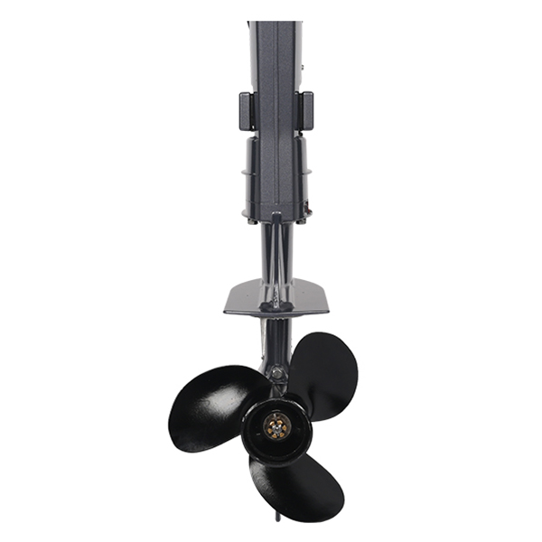 ЛОДОЧНЫЙ МОТОР ALLFA CG T5 в Раменском