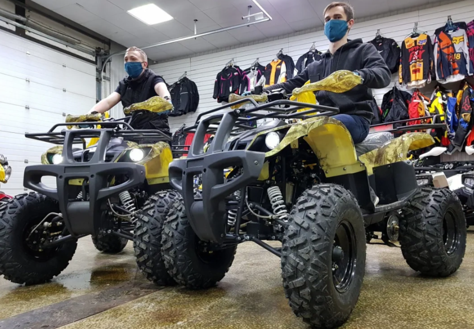 Квадроцикл PROMAX ATV 250 (2025) в Раменском