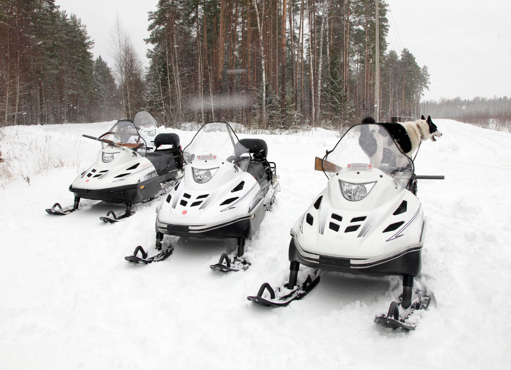 СНЕГОХОД РМ ТАЙГА ВАРЯГ 550 V в Раменском