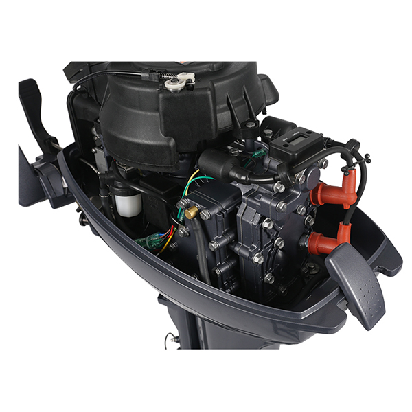 ЛОДОЧНЫЙ МОТОР ALLFA CG Т9,9 Limit в Раменском